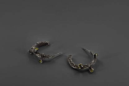 Zircon Hoop Earrings LevenExclusive